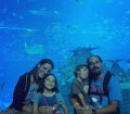 Acquario di Singapore