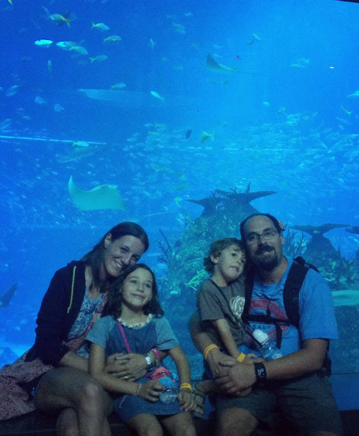 Acquario di Singapore