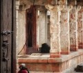 IMG_4109-01