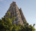 Meenakshi Temple